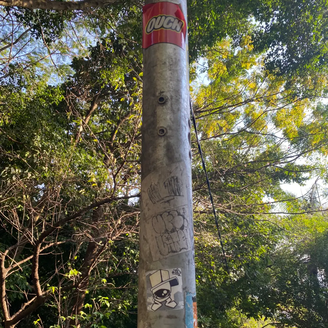 SÃO PAULO (2023)